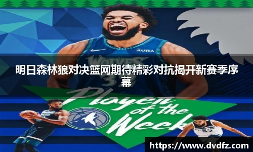 bsports官网入口