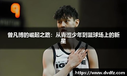 bsports官网入口