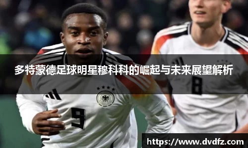 bsports官网入口