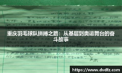 bsports官网入口